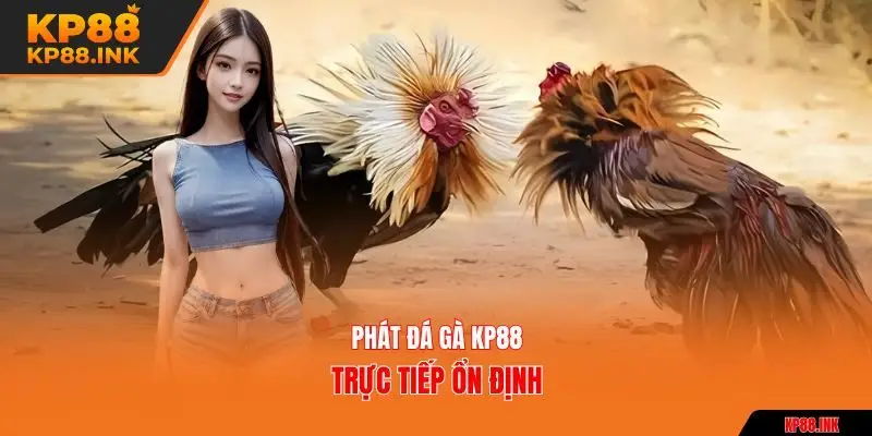 Phát đá gà KP88 trực tiếp ổn định